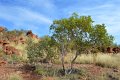 DSC_0035a (4)